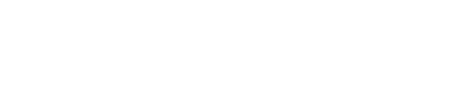 株式会社それっちゃロゴ